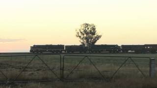 Australian Trains: Steamrail to Mildura near Watcham