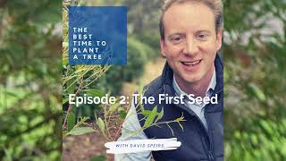 The Best Time to Plant a Tree podcast: Episode 2 - Trees are Life with Natasha Davis