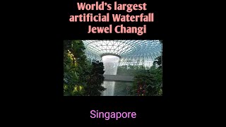 Jewel Changi Singapore|Canopy Park|Largest Artificial Waterfall|Inside:Jewel Changi Airport