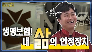 생명보험, 내 삶의 안전장치 | 보고또보고 EP.2