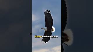 Soar Above Life's Storms Like an Eagle! #shorts #motivation