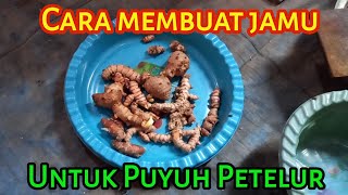 Cara Membuat Jamu Herbal Untuk Meningkatkan Daya Tahan Tubuh Puyuh Petelur