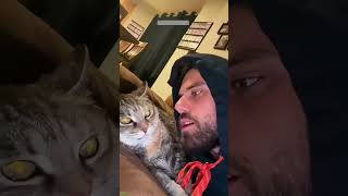 Funny Pets 🐱 Will Cheer you Up 😅 #cathouse Episode 5476