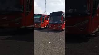 Agra mas Lebaran tetap diberangkatkan ke Jabodetabek, tarif 250 k #terminal#banyuputih#shortsvideo