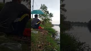 Mancing ikan mujair di danau Bekasi pemancing senior santuy #shorts