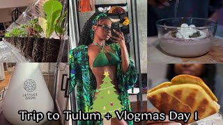 VLOGMAS DAY 1 | QUICK TRIP TO TULUM, AT HOME TUNACADO FAIL & THE  LETTUCE GROW IS BACK