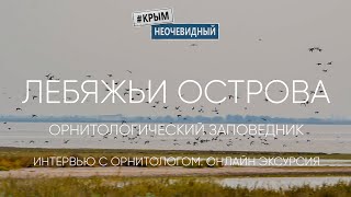 #КрымНеОчевидный: Лебяжьи острова. Часть 2. Экскурсия по заповеднику. Интервью орнитолога.