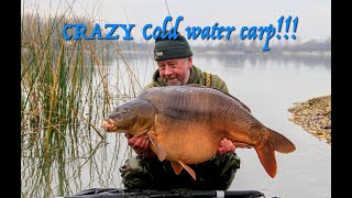 crazy cold water carp