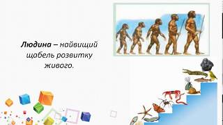 Кількість і розміщення населення Землі