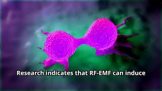 Untapped Potential RF EMF Treatment for Cancer