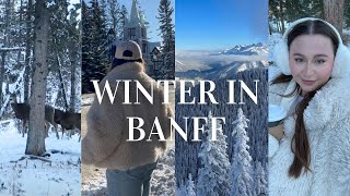 the *ULTIMATE* winter trip to Banff pt 2 | winter activities, best eats in town & hiking & more!