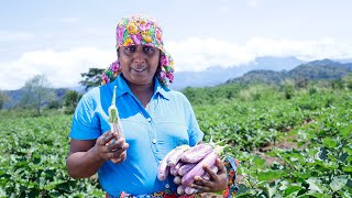 Today I went to the vegetable farm to help my husband with his work. .village kitchen recipe