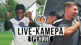 LIVE-КАМЕРА: КАК ПРЕРВАТЬ НЕУДАЧНУЮ СЕРИЮ?