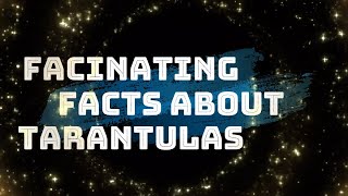 INTERESTING AND FASCINATING FACTS ABOUT TARANTULAS PART 1