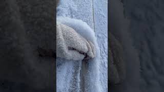 Oddly Satisfying snow scraping. Cold hands warm heart.