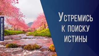 Устремись к поиску истины