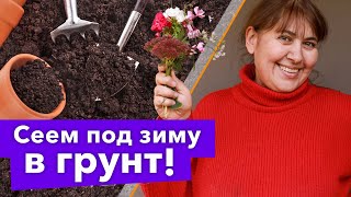 ЗАБУДЬТЕ О РАССАДЕ - ПОСЕЙТЕ ЭТИ ЦВЕТЫ В НОЯБРЕ СРАЗУ В ГРУНТ!