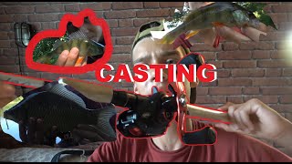 3 WYPRAWY - spinning i spławik *łowię na casting!*