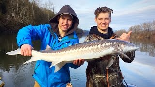 Winter STURGEON ACTION!!!