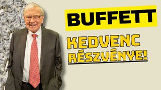 Warren Buffett Kedvence 2024-ben: Occidental Petroleum Corporation