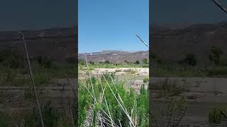 Santa Clara River still flowing water 💧 July 19 also mystery dishes Fillmore ca