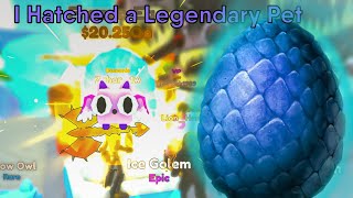 I Opened 250  Eggs And Hatched a Legendary Pet! -  Sword Fighters Simulator X Roblox