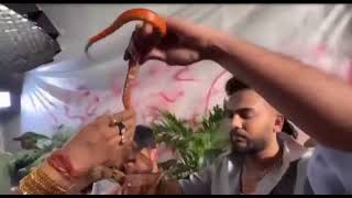 Elvish Yadav Snake Venom Video