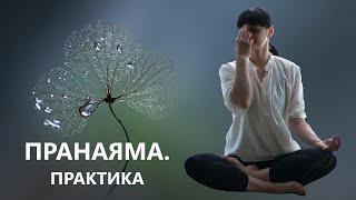 Пранаяма. Практика.