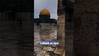 labbaik ya aqsa