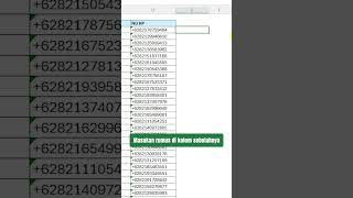 Merubah +62 Menjadi 0 Microsoft Excel #excel #caramebuatpencariandataspreadsheet #microsoftexcel