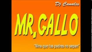 Mister Gallo Volver a Verte