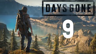 Прохождение ► Days Gone ► Лагерь Железного Майка #9