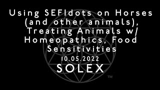 Using SEFIdots on Horses (and other animals), Treating Animals w/ Homeopathics, Food Sensitivities