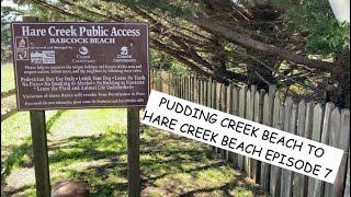 POMO BLUFFS TO HARE CREEK BEACH EPISODE 7