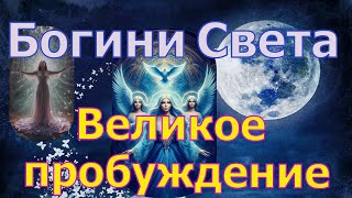 Богини Света :Великое пробуждение