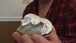 Oyster Shell-Brass Turkey Call - Homemade Turkey Call