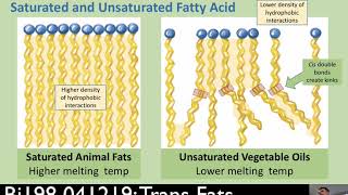 Bi198 041219: Trans-Fats