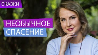 Сказкотерапия "Необычное спасение" Татьяна Ларина - притчи, сказки, интересные истории, нлп