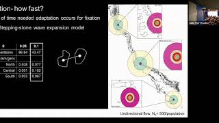 Assisted Gene Flow: facilitating the spread of adaptive variation for reef restoration