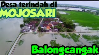 Desa terindah di Mojosari, Balongcangak Kedunggempol.Drone