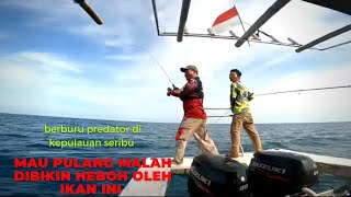 berburu predator di kepulauan seribu bersama @FaisalRisa