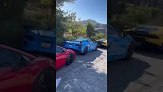 SuperCar Cruise Through Malibu