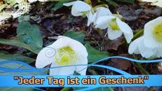 Jeder Tag ist ein Geschenk......