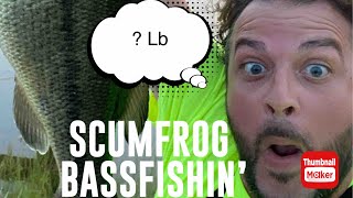 SCUMFROG BASSFISHIN’ #fishing #subscribe #outdoors #bassfishing #frog