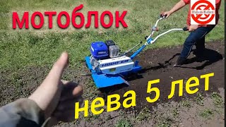 МОТОБЛОК НЕВА СПУСТЯ 5 ЛЕТ // ЧЕСТНЫЙ ОТЗЫВ