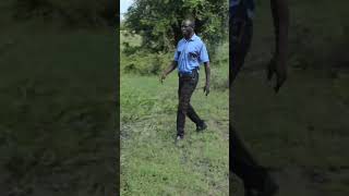 Officer Amepata Mkora #comedy #kensoja #tiktok #trending #shortvideo #shortvideo #shorts #short