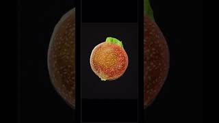 My Burger King add #burger #burgerking #add #food