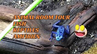 ANIMAL reptile fish ROOM TOUR 2020