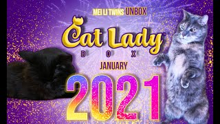 Mei Li Twins Unbox Cat Lady Box January 2021