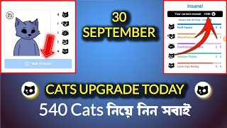 30 September upgrade cats | cat photo upload | cat avatar today